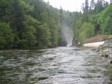 A view up the river in Capilano Regional Park, framed by green fir trees and a cool spring overcast sky.