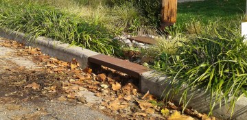 Stormwater management and urban forests